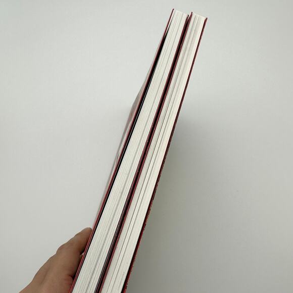 Maus A Survivors Tale by Art Spiegelman 1 & 2 - Picture 7 of 11